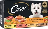 1x Cesar - Classic in paté Mix Selectie - 600g