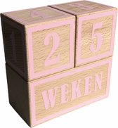 Houten mijlpaalblokken - baby roze - kraamcadeau - leeftijden en momenten - 3 blokken