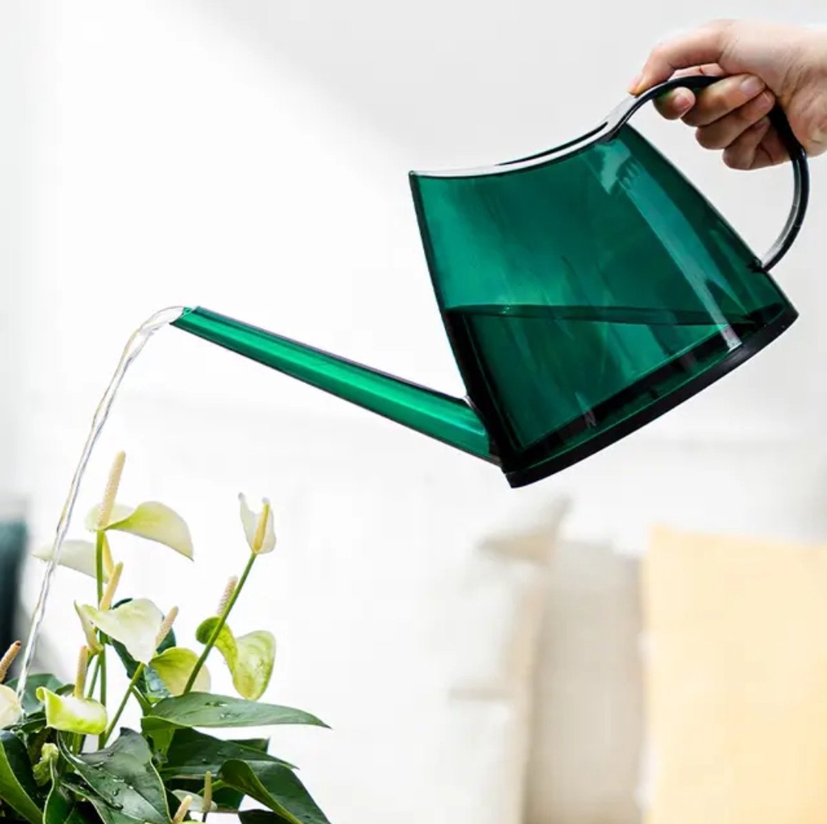 Gieter Voor Binnen - Groen - Gieter - 1,4 Liter - Gieters Voor Binnen - Gietertjes - Gieter Binnen - — cadeau in Cadeau-ideeën - foto 3