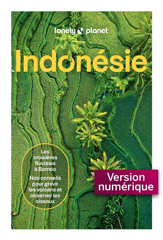 Guide de voyage - Indonésie 8ed - cover