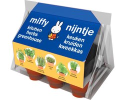 Nijntje kruiden minikas - kweekset voor kinderen met 6 kruiden.