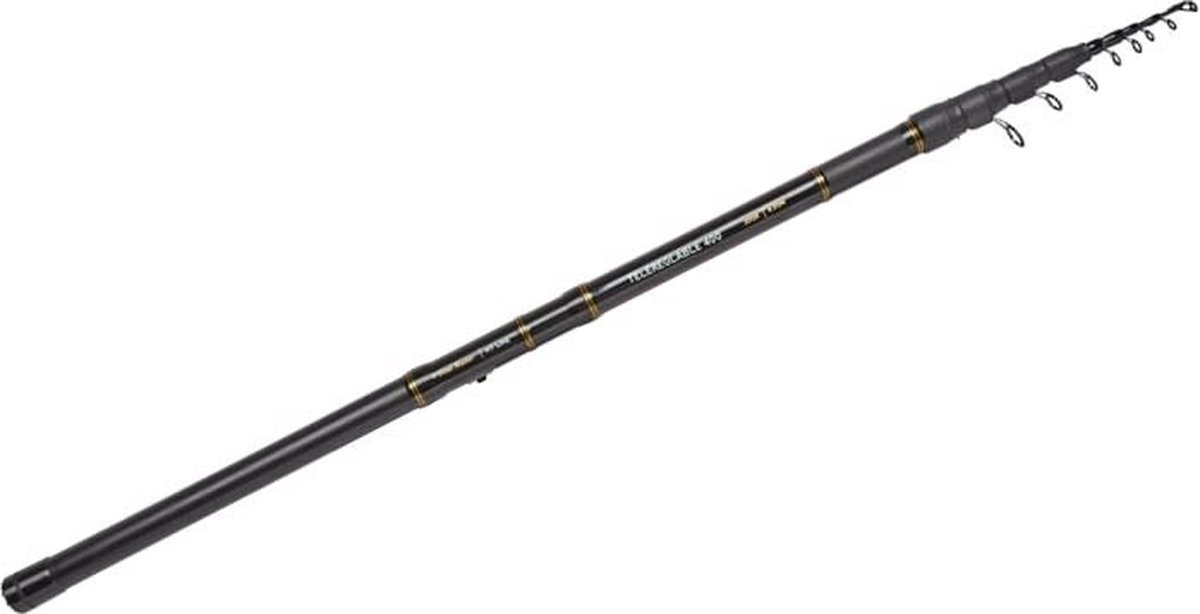 Spro Telereglable Bolognese Hengel 4.00 m / 30 g