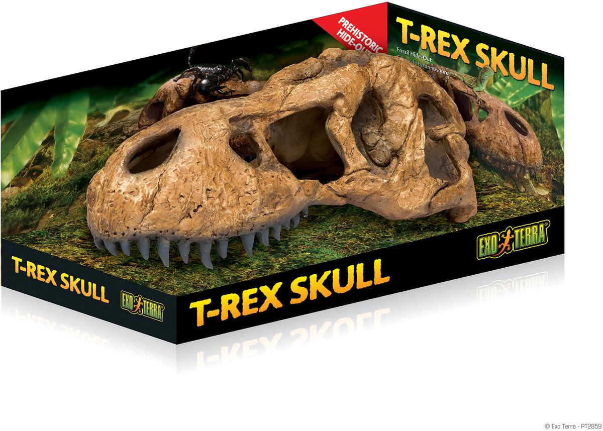Exo Terra - Terrariumgrot - Reptielen - T-rex Skull Fossiele Schuilplaats 14.5x25.5x12.5cm - 1st