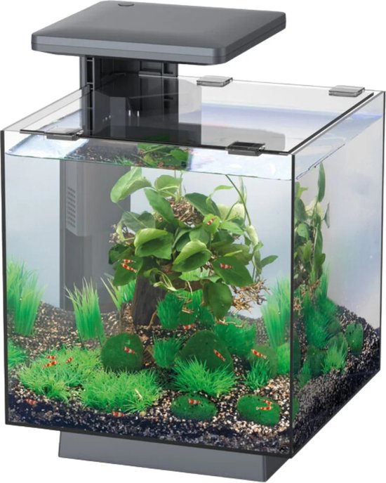Superfish Qubic 15 LED Aquarium