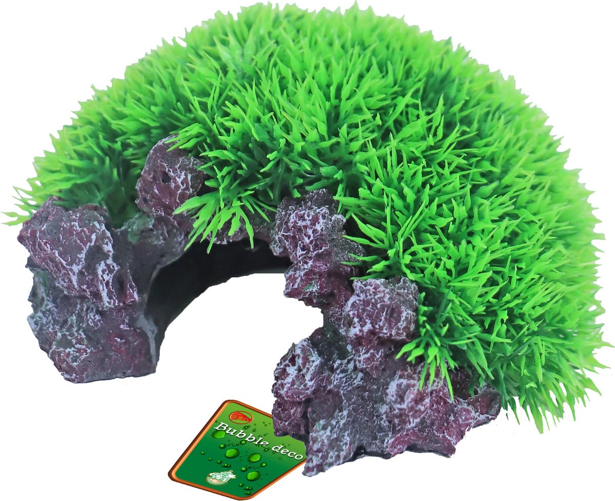 De Boon Green Mossrots + Uitstromer