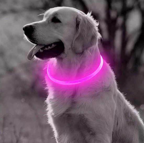 Roze LED Halsband voor honden Medium / Roze verlichte halsband / Lichtgevende Halsband Hond / Led Halsband Hond - Oplaadbaar via USB / USB Halsband LED