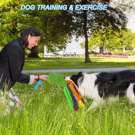 Puppy Tandspeelgoed - Interactief Huisdierenspeelgoed,Schattig Pluche Piepend Hondenspeelgoed,Geschikt voor spel, training, kalmerend spel, trekken, binnen, buiten, tuin, park, thuis