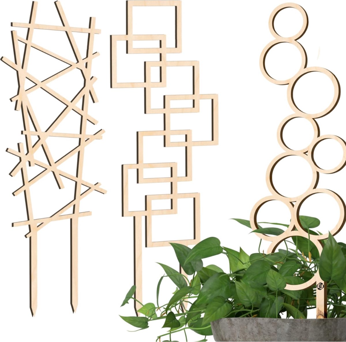 Equivera Klimrek Planten - Klimrek Planten Buiten Muur - Klimrek Planten Buiten - Klimrek Planten Tuin - Klimrek Nature - Plantenklimrek - Klimrek voor Planten - Must Have voor in de Tuin!