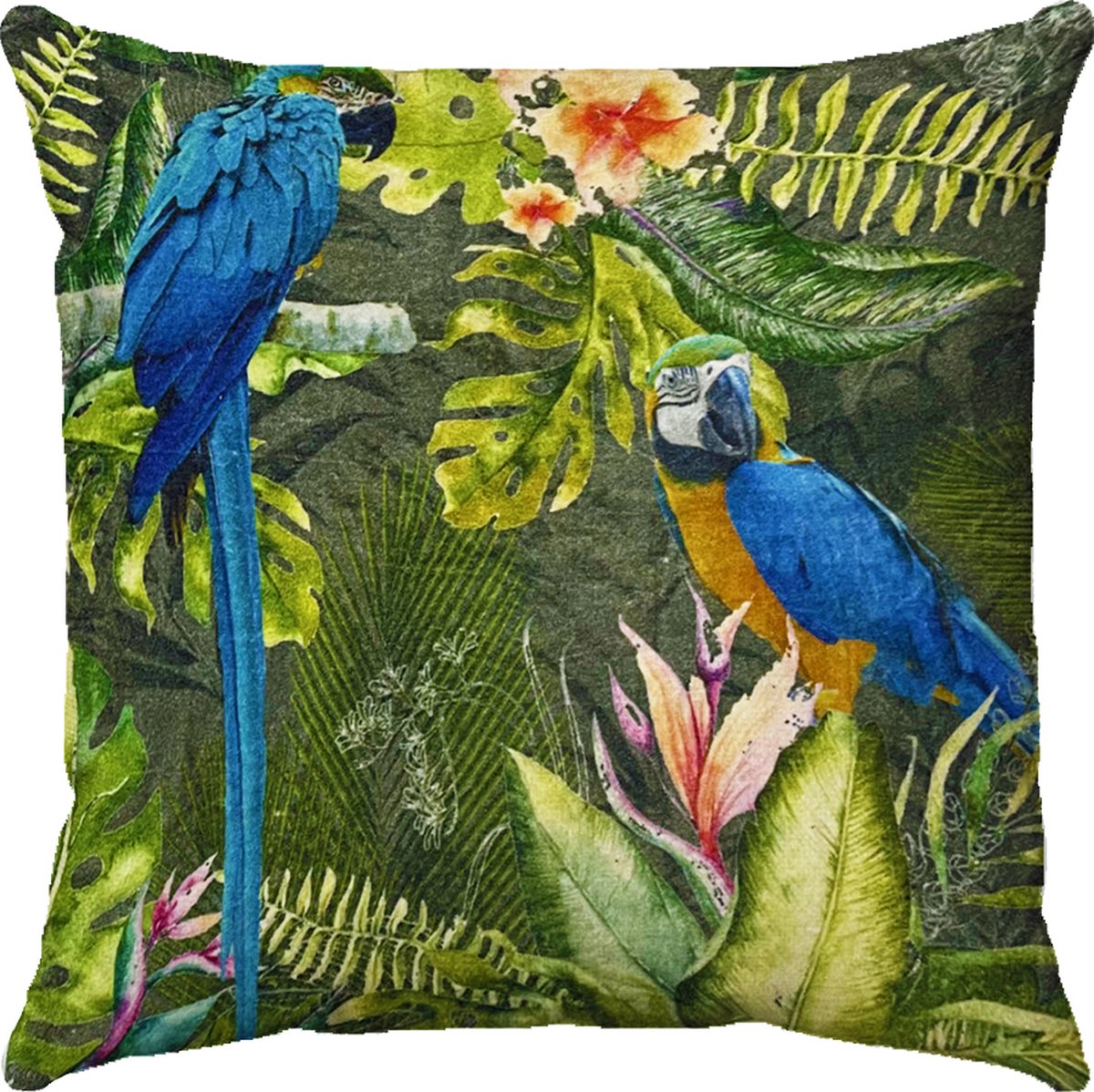 by Mooss - Sierkussen 50 x 50 cm - Velours - Tropisch Papegaai Bloemen - Donker groen Zwart - Inclusief binnenkussen