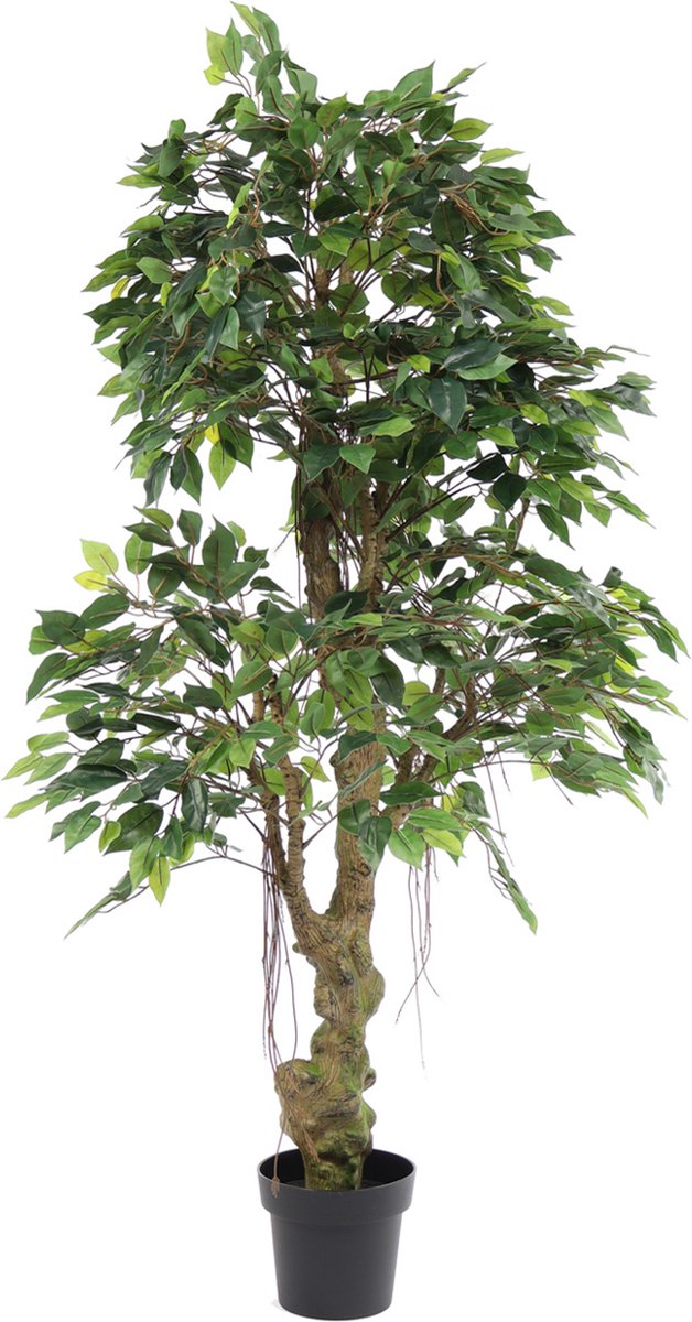 Kunstpalm Kunst Jungle Ficus Banyan | 165cm - Namaak jungle ficus Banyan - Kunstplanten voor binnen - Kunstplant jungle ficus Banyan Donkergroen