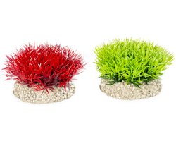 Aqua Della - Aquariumplanten (voeding) - Vissen - Plant Crystalwort Moss S - Height 5cm Gemengde Kleuren - 1st