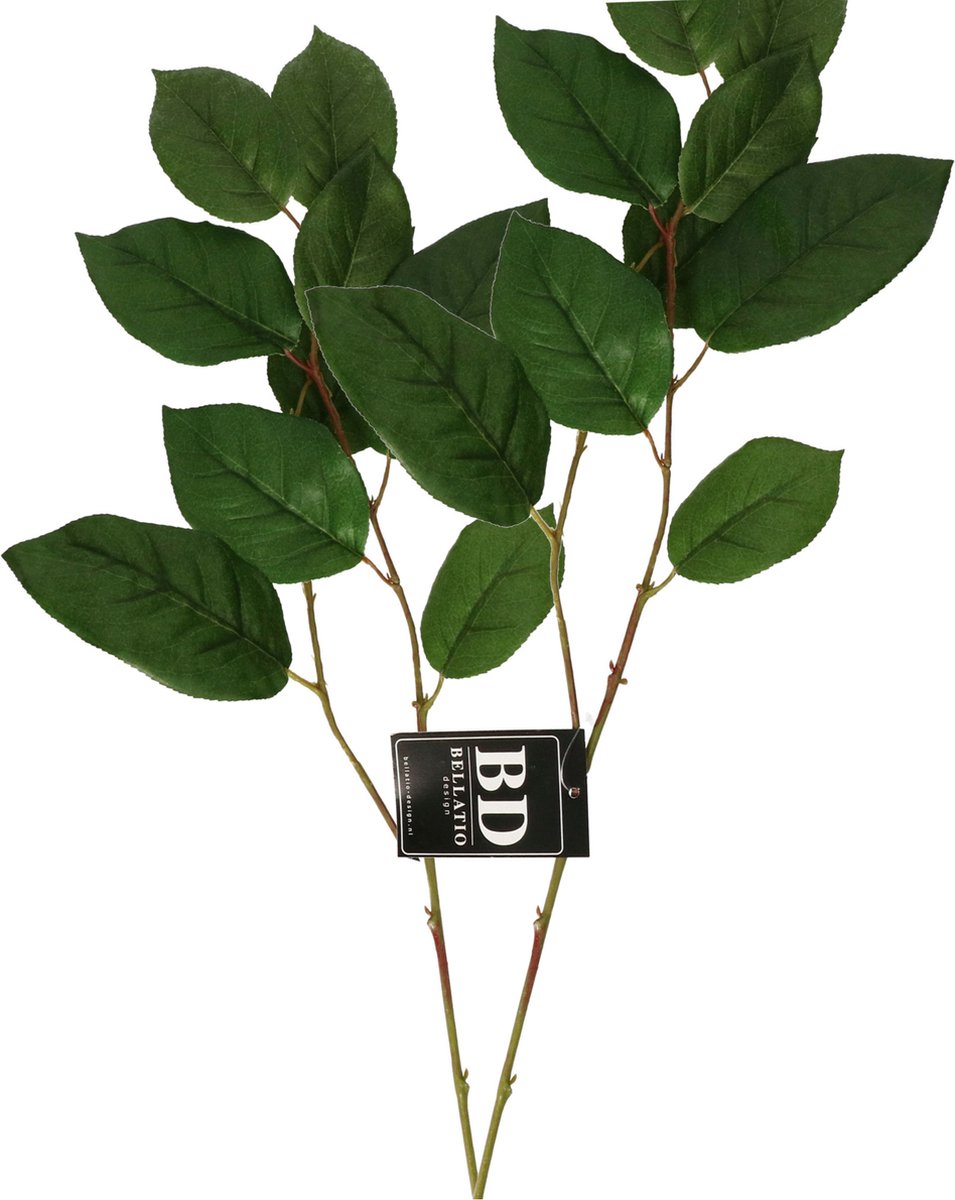 Bellatio Design Kunstbloem bladgroen tak Salal/Appeltjesblad - 2x - 77 cm - boeket opvulling - groen Donkergroen