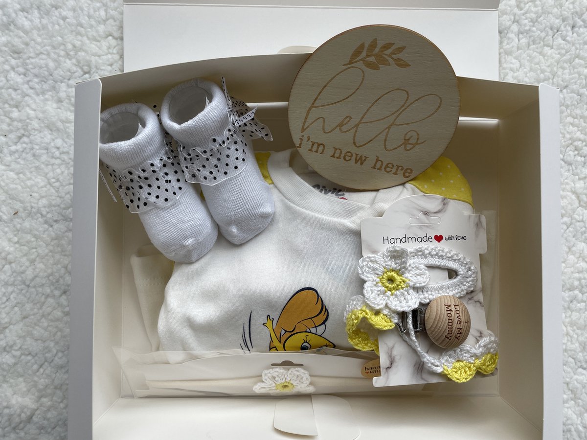 Goedkoopste Maminobaby.nl - Baby Geschenkset meisjes | Newborn kledingset| Handmade speenkoord | Handmade haarclip | Handmade haarband | Kraamcadeau | Babyshower