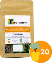Aaltjes tegen rouwvliegjes - 5 miljoen aaltjes - voor 20 kamerplanten of 10m² - 100% natuurlijk bestrijden van rouwvliegen (varenrouwmuggen) - bestrijd ook poppen van trips