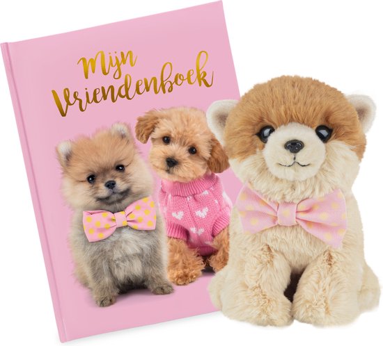 Studio Pets Livre d'amis Puppy + peluche Pompon de Poméranie 16cm