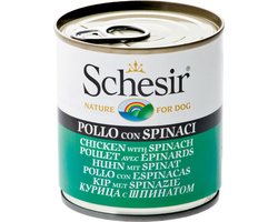 Schesir Hondenvoer Kip Spinazie in Gelei 285 gr