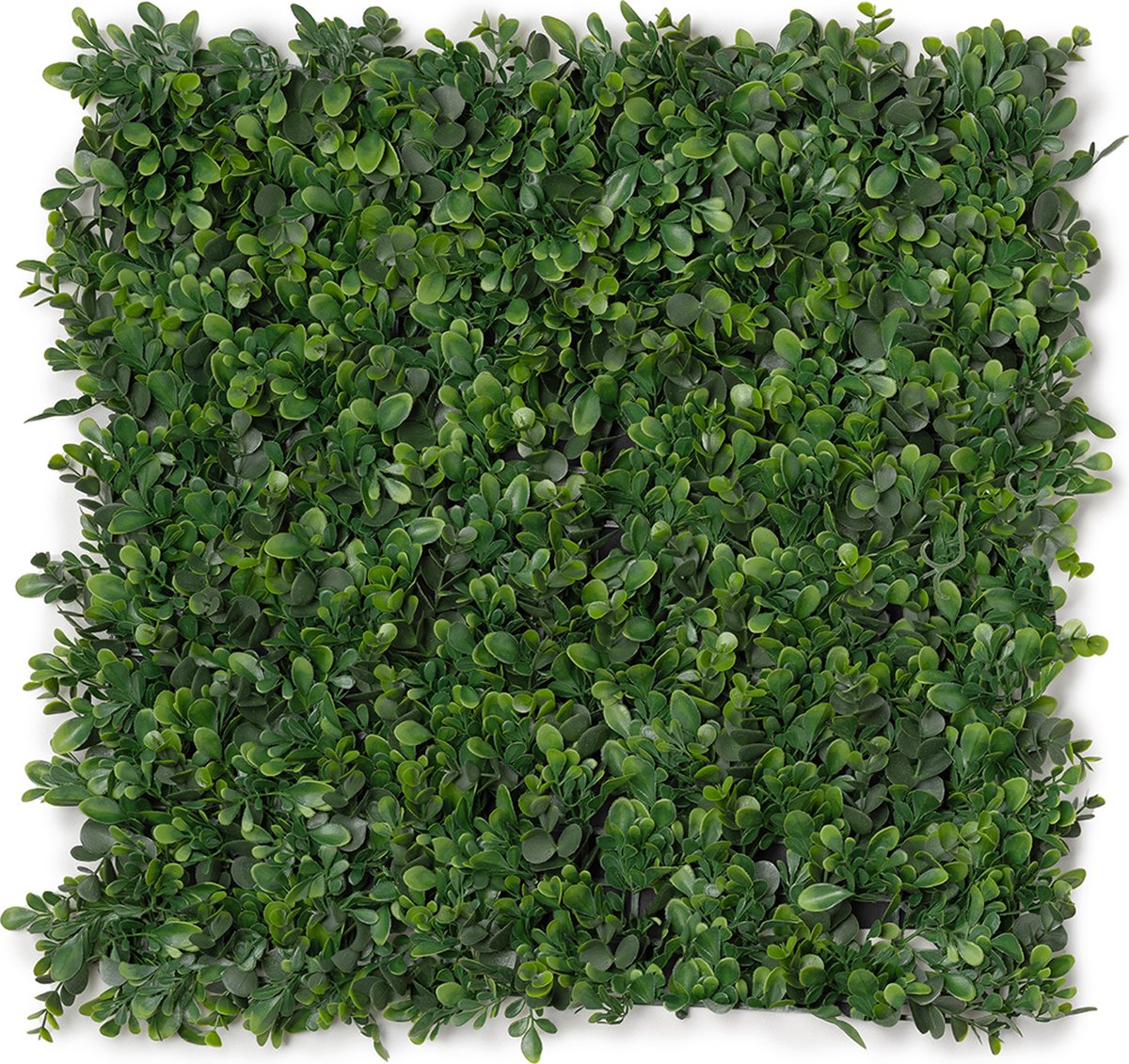 Kunsthaag plantenwand - Planten muur - Voor binnen en buiten - Buxus - 50 x 50 cm
