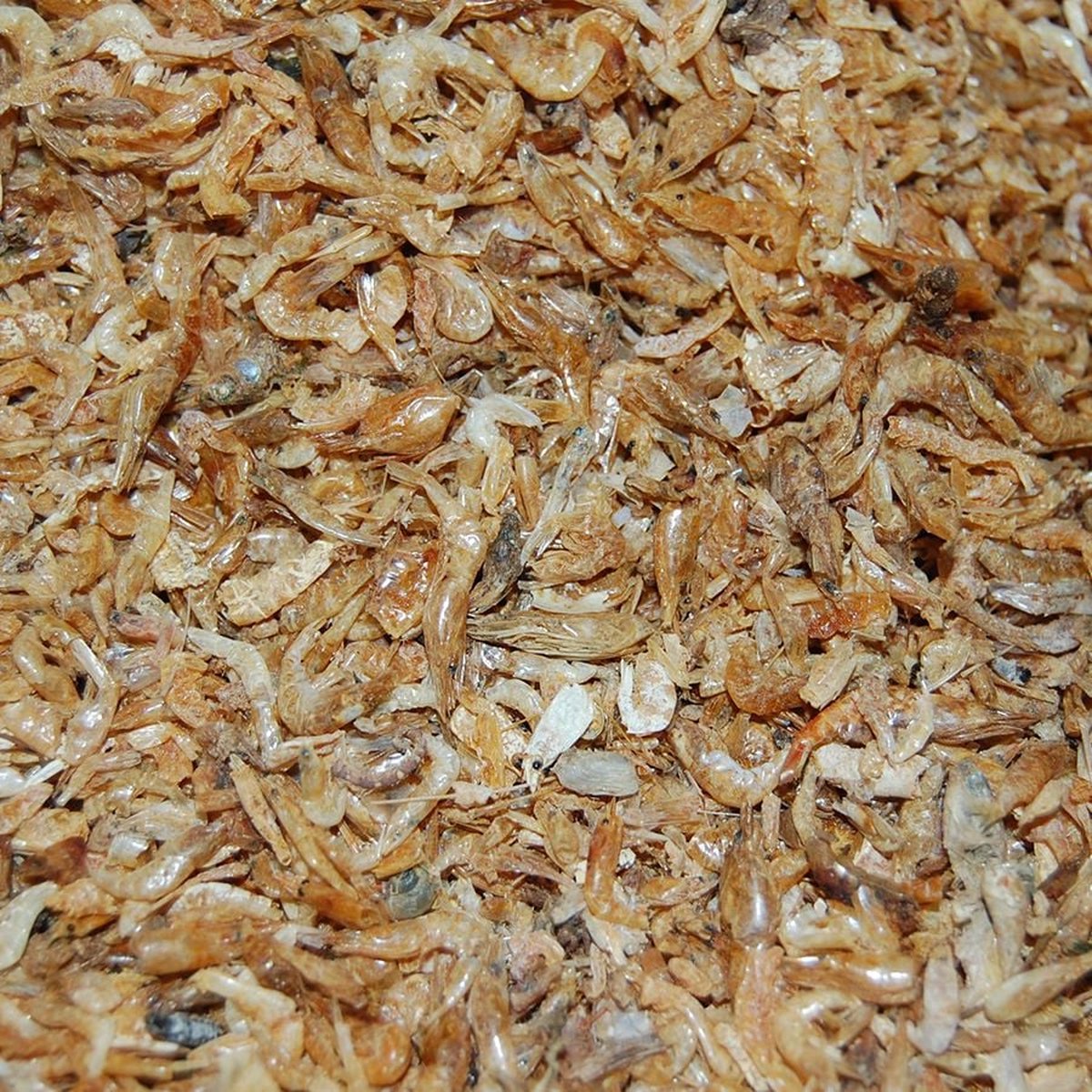 Gedroogde garnalen schildpadden - Zongedroogde garnaaltjes - 100ml