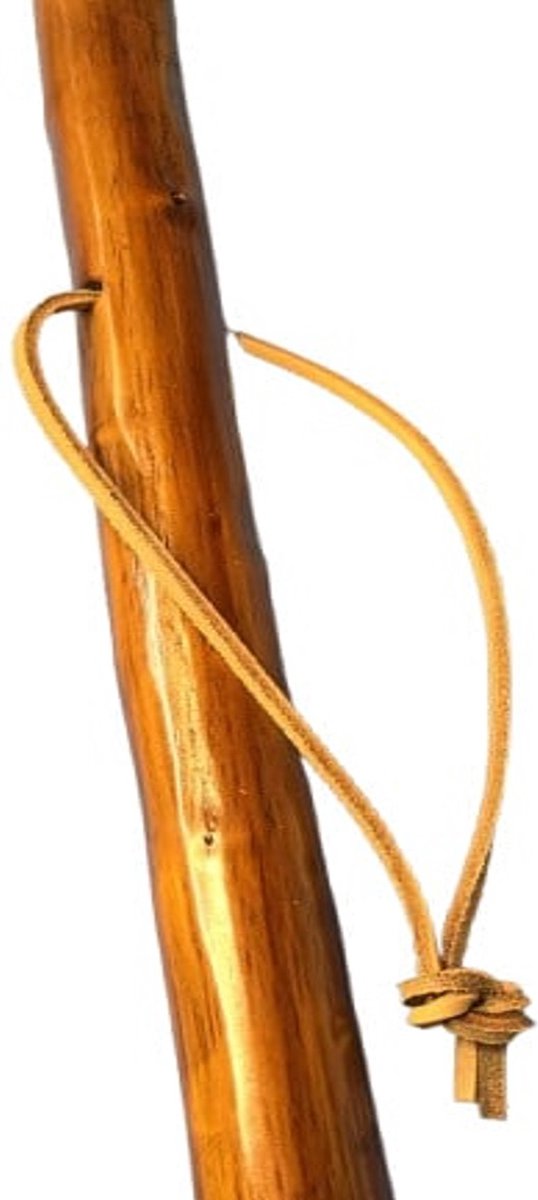 Wandelstok - Pelgrimsstok van Edel Kastanje met bergpunt van massief nikkel metaal inclusief rubberen dop lengte 127 cm