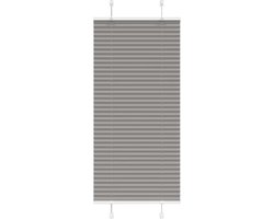 vidaXL - Plissé - rolgordijn - 60x150 - cm - stofbreedte - 59,4 - cm - antraciet