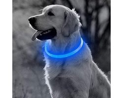 Blauwe LED Halsband voor honden - Large size - blauw verlichte halsband - 70 cm - Graag nauwkeurig de maat opmeten! - Lichtgevende Halsband Hond - Oplaadbaar via USB - adjustable - verstelbaar - verstelbare halsband USB oplaadbaar