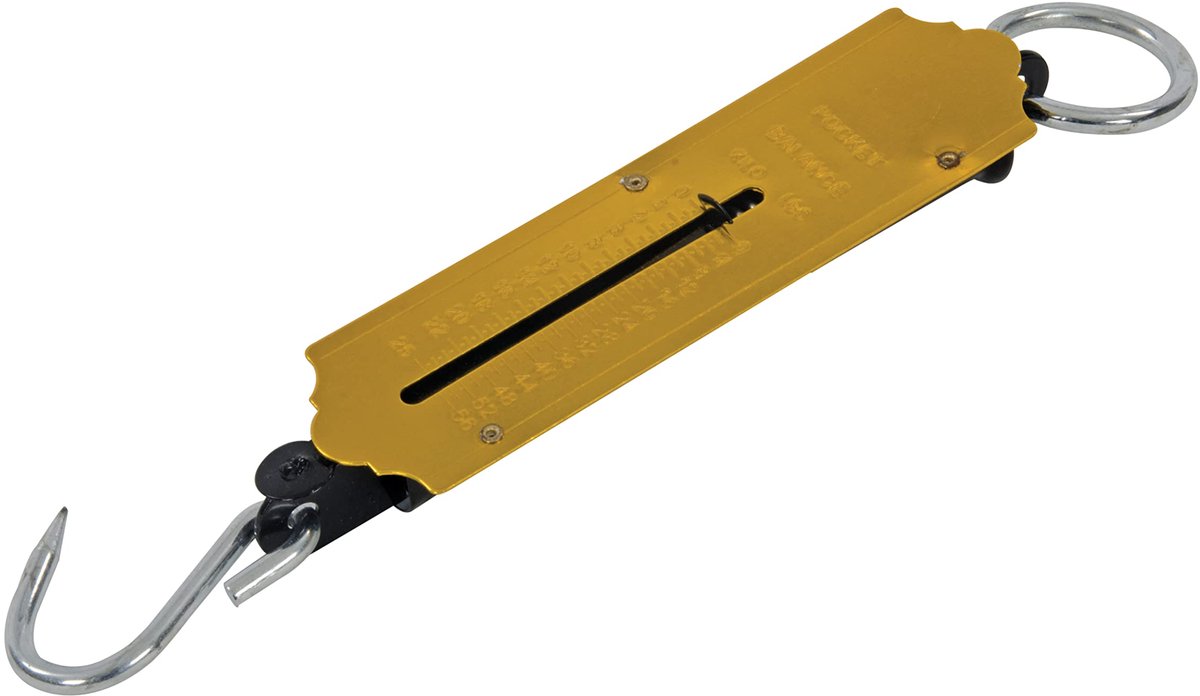 Silverline Traditionele veerweegschaal - 25 kg capaciteit - Stalen ring en haak - Inclusief hangring
