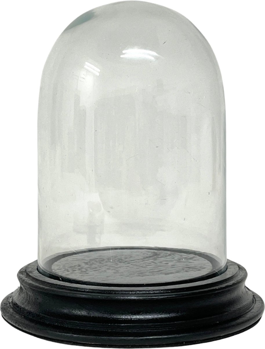 Glazen stolp* met zwarte houten voet H 16 cm x D 11 cm