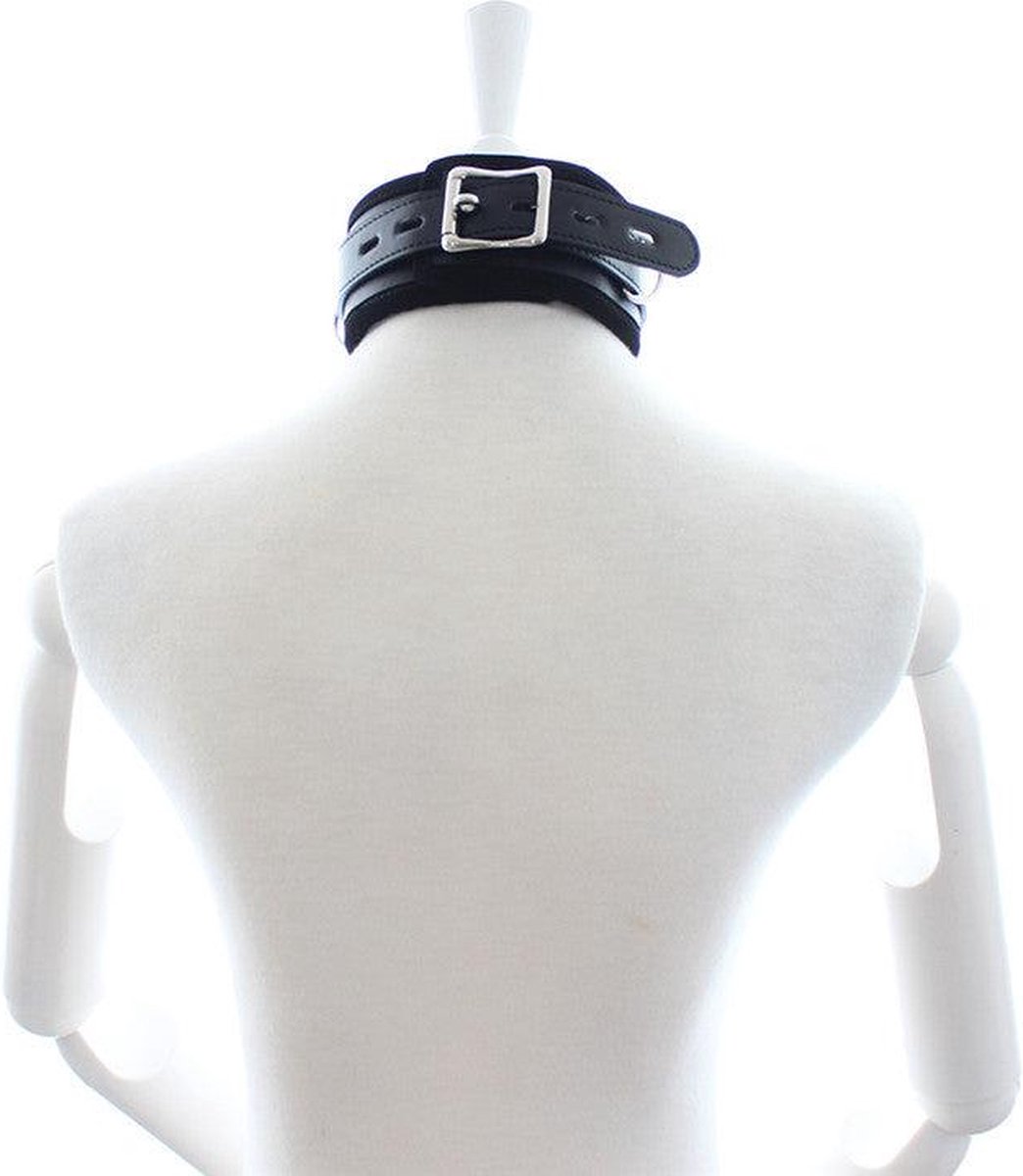 Goedkoopste Collar met hondenketting