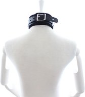 Collar met hondenketting