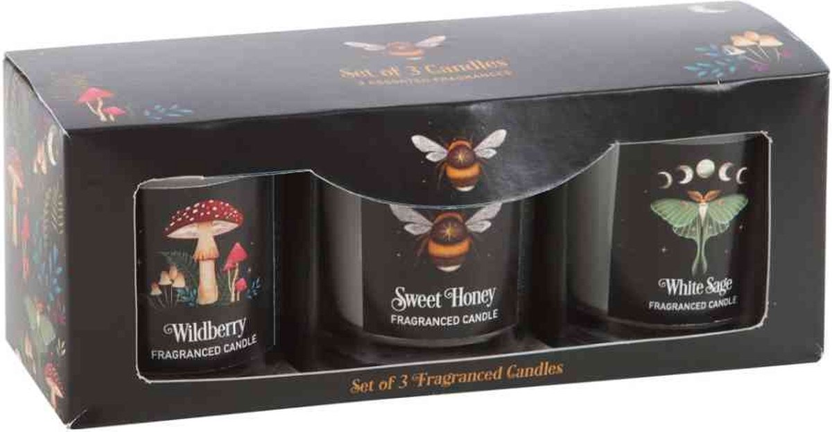 Something Different Dark Forest Votive Candle Trio Kaars - Multicolours