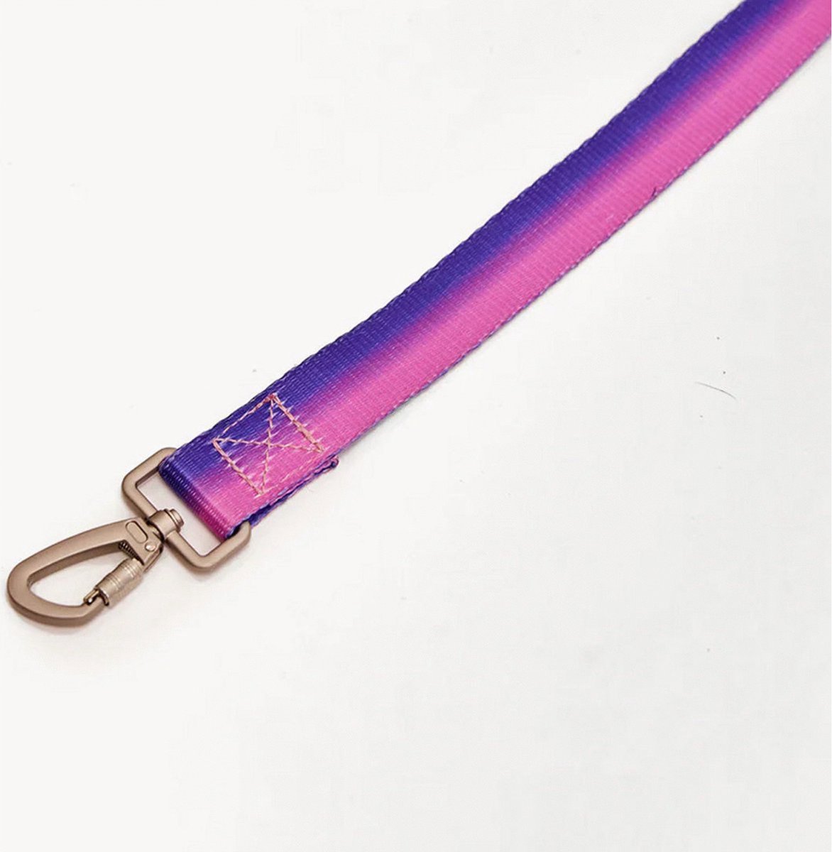 Dogguo Gradient Leash - Hondenriem - 23 cm Paars Pink Voor Grote Honden