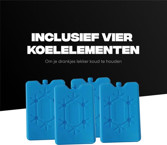 Rockerz Plein air - Sac isotherme - Sac à lunch 30 litres - Zwart - Incl 2 éléments de Éléments de refroidissement