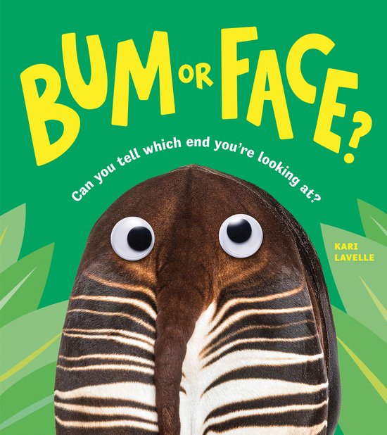 Bum or Face - cover