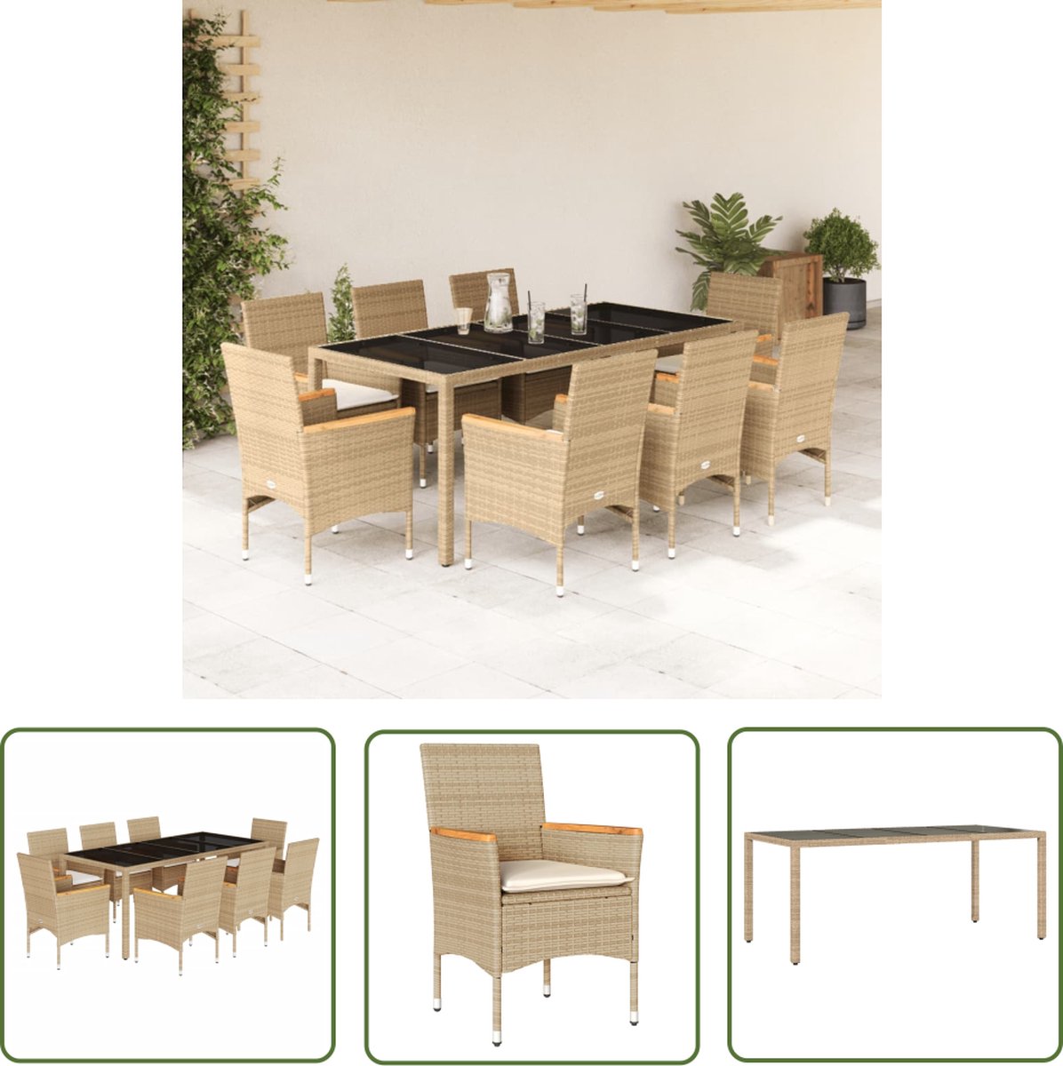 The Living Store 9-delige Tuinset met beige kussens en poly rattan.