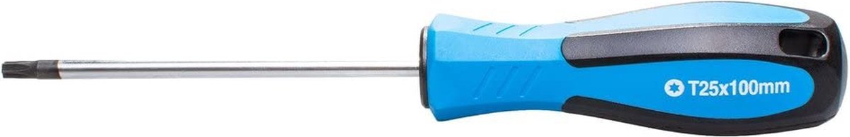 SW-Stahl 31725SB schroevendraaier met T-profiel I T25 x 100 mm I TX-schroevendraaier I T-schroevendraaiergereedschap