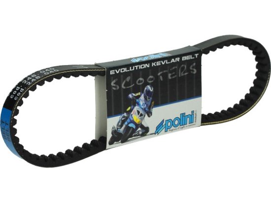 Variomatic POLINI Speedcontrol V2003 per Minarelli 50cc (Tipo MA, MY, CW, CA, CY) Scooter Center