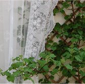 Rideau Audrey - Dentelle Brodée - Bord Festonné - White Cassé - 180x280 cm - Pimlico