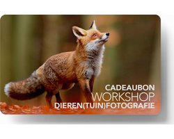 Cadeaukaart - Workshop Dierenfotografie - in Nederlandse dierentuinen