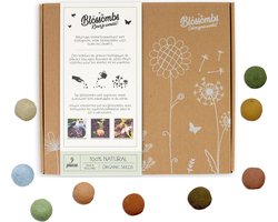 Blossombs Bloembommetjes Giftbox Medium - 9 Zaadbommetjes - Cadeau voor Bijen en Vlinders