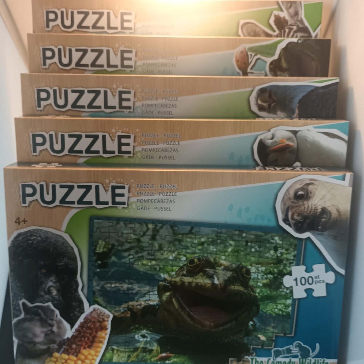 5 Stuks Puzzel Comedy - 100 Stukjes - Lachende Zeehond - Lachende Kikker - Poepende Vogel - Filmende Eekhoorn - Eekhoorn Nature - 5 Uitvoeringen - Comedy Wildlife