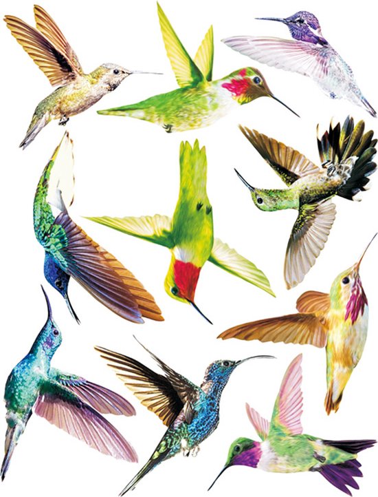 Stickers muraux - colibri - 2 pièces - oiseaux - lot de 10 oiseaux - Stickers muraux Vogels - Animaux - Réutilisables/repositionnables - Stickers oiseaux statiques pour fenêtres - Vogelbescherming - 32*42 cm - sticker fenêtre