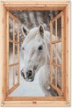 Winter, Paard
