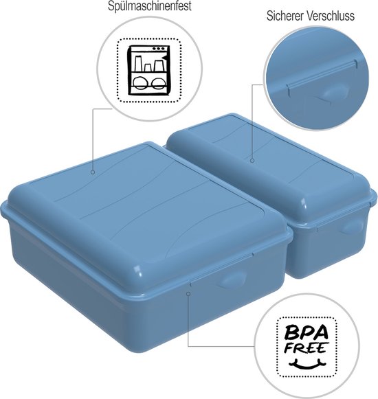 Lunchbox Rotho Trasparente 1.25 L - Portapranzo Con Chiusura A Scatto, Senza BPA - Foto 5