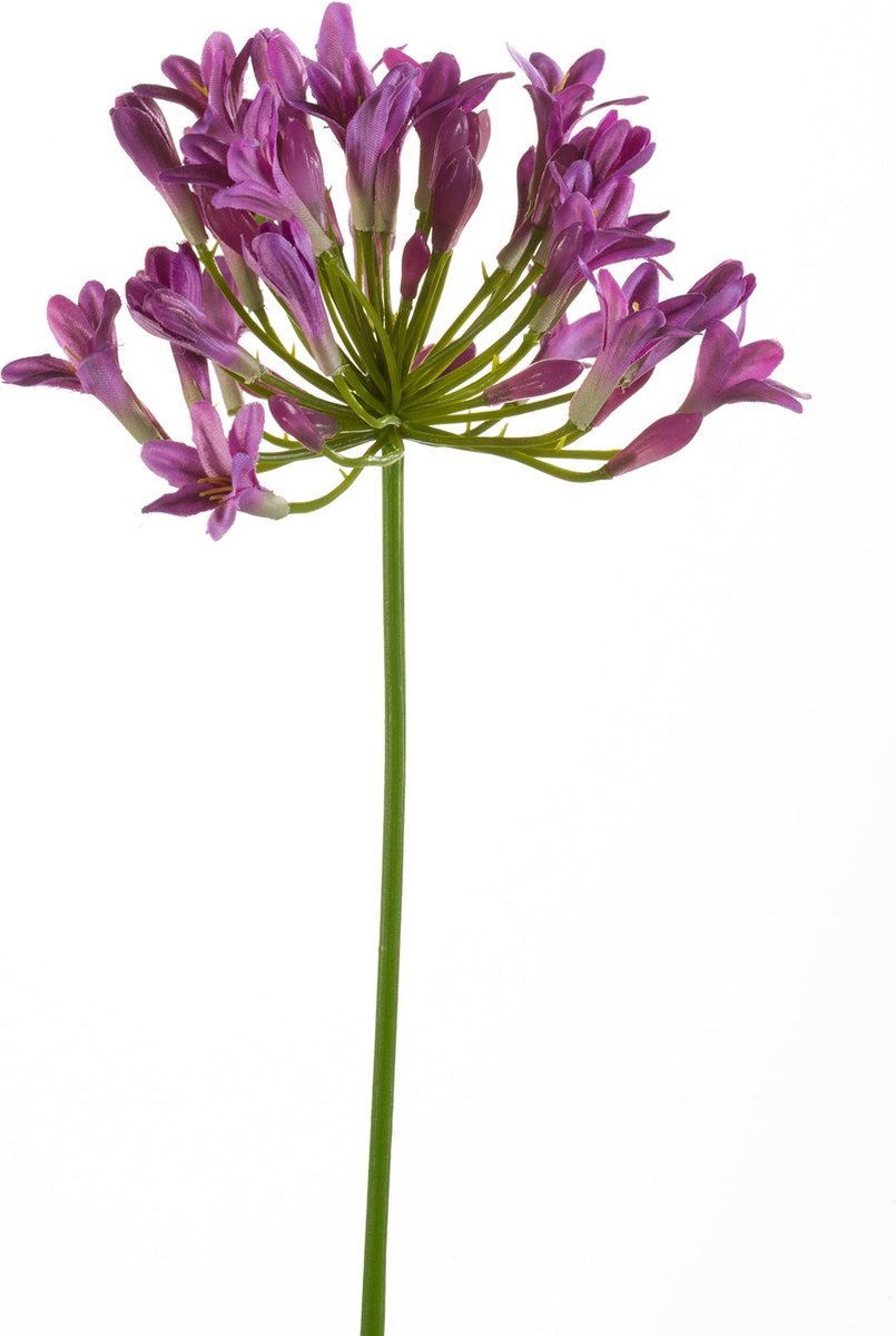 Emerald Kunstbloem Agapanthus 75cm paars - Kunstplant voor binnen