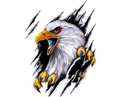 Auto sticker - Eagle sticker - 2 stuks - 18*24 cm - Sportauto Stickers - UV- en Waterproof - Plakstickers - Sportauto Stickers - Laptop Stickers - dier sticker - voor body hood woondecoratie creatieve auto sticker - Eén links en één rechts