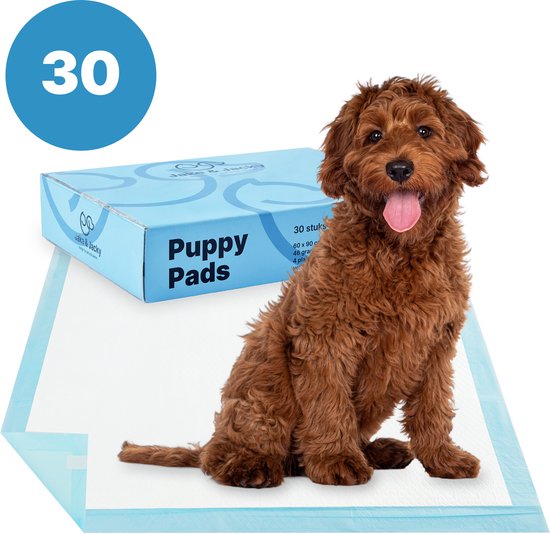 Adori Trainingsmat 60x60 Cm - Hondenzindelijkstraining - Zindelijkheid - Pets Place