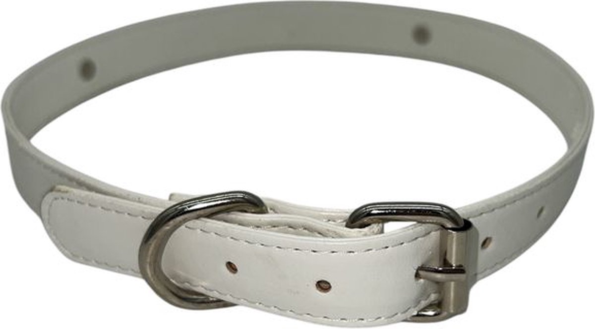 Goedkoopste Collar/Halsband - Turquoise - BDSM - Diameter 17 CM - Lengte 60 CM - Breedte 1,5 CM