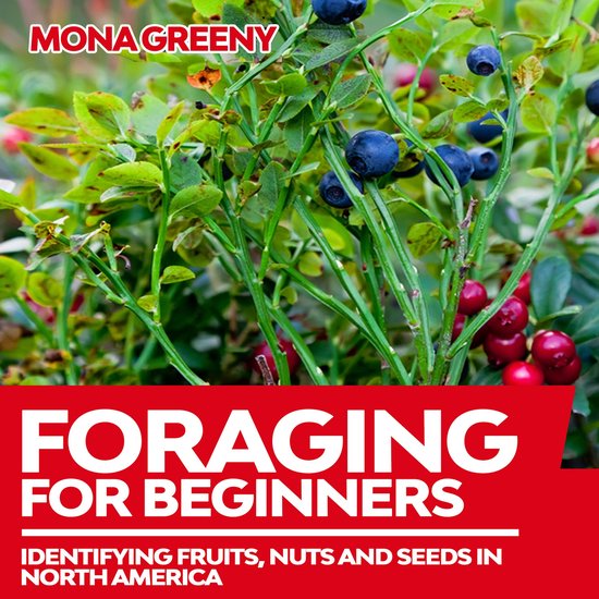 Foraging For Beginners - cover