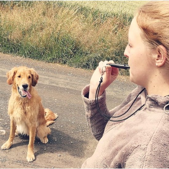 Coachi™ - Trainingsfluitje voor honden