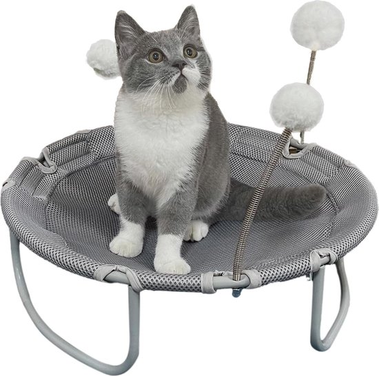Kattenbureaubed